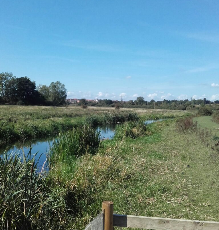 Bowthorpe Marsh景点图片