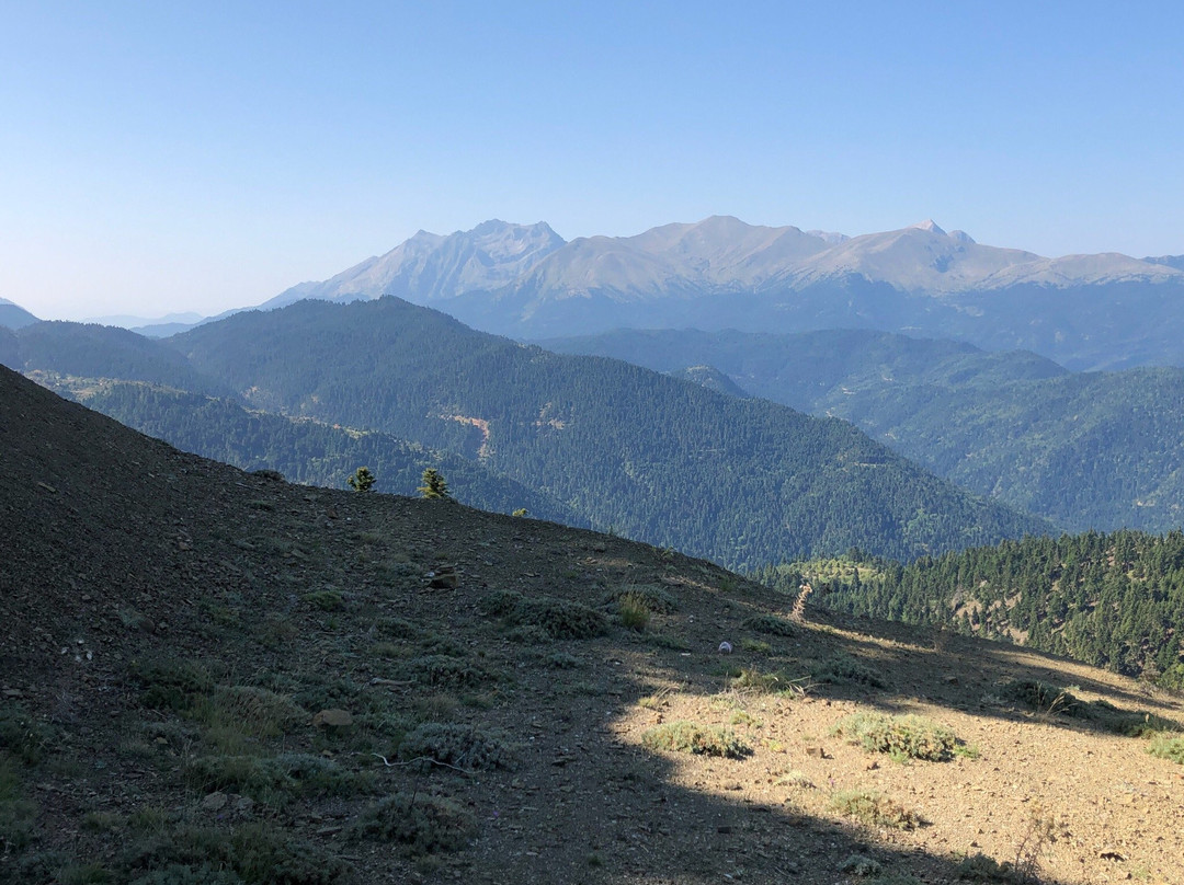 Ziakas Mansion主图