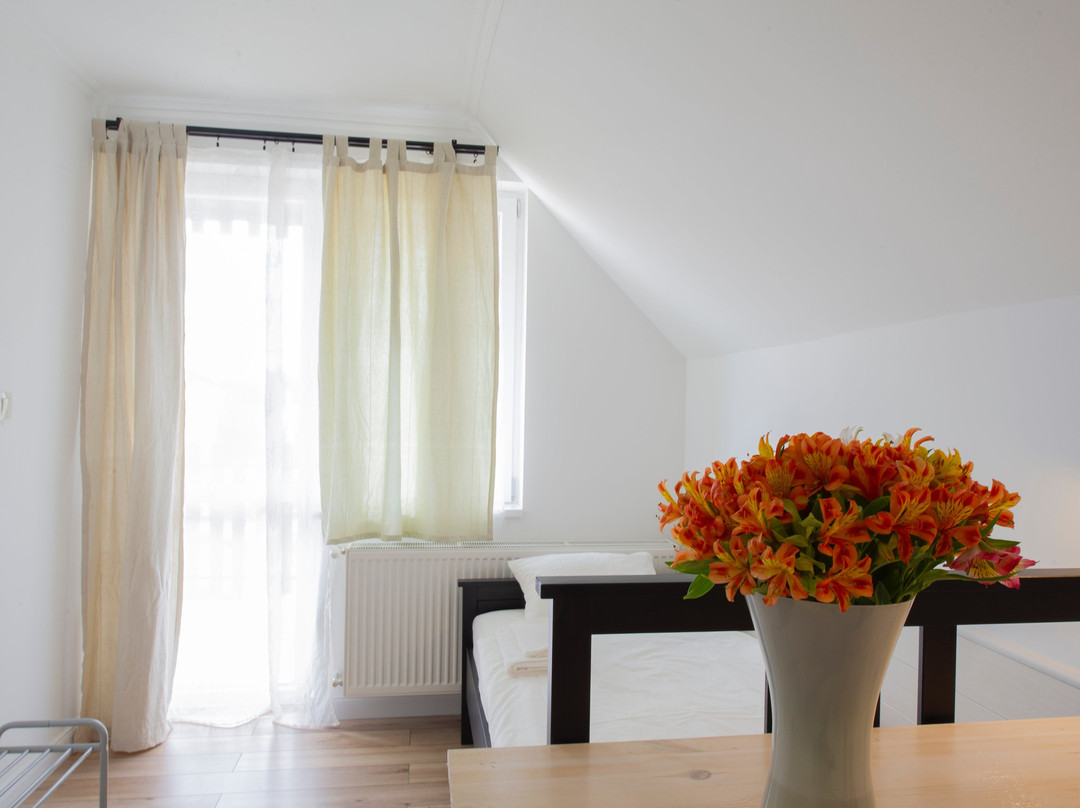 Szep Napot Vendeghaz Bed and Breakfast主图