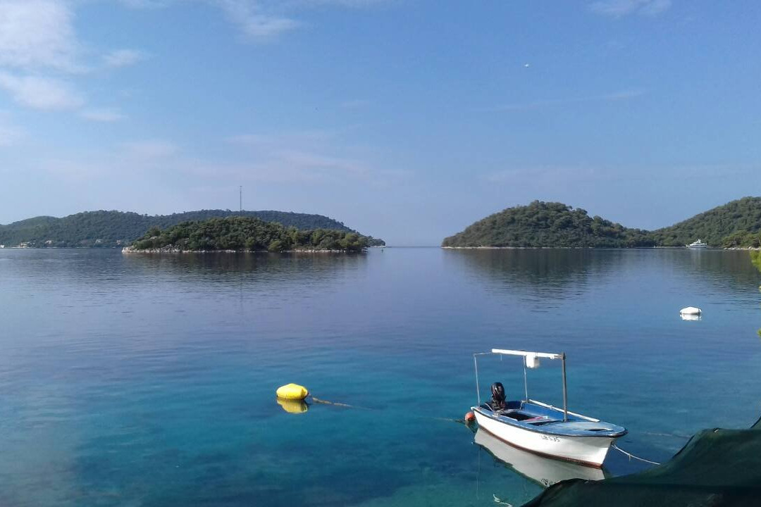 Zaklopatica旅游攻略图片