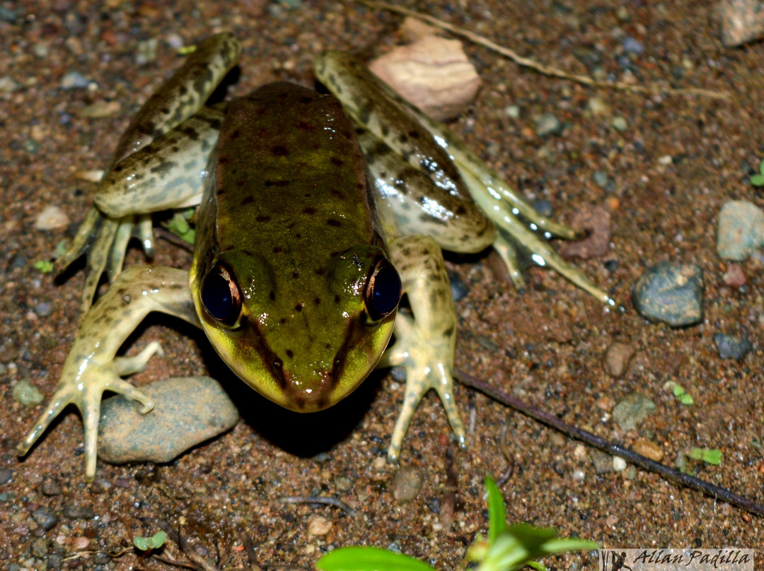 Canto del Mar Guest House and Botanical Garden主图