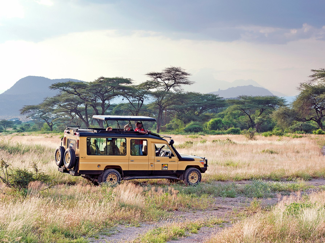 African Horizons-内罗毕必去景点