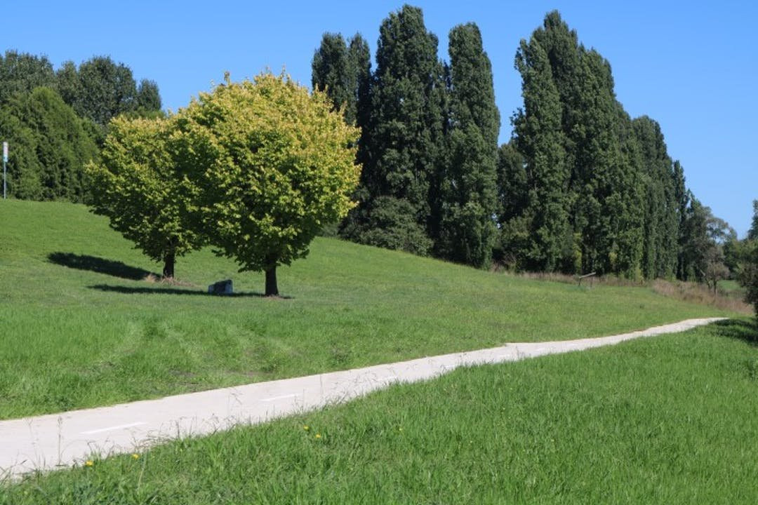 Wollondilly River Walkway景点图片