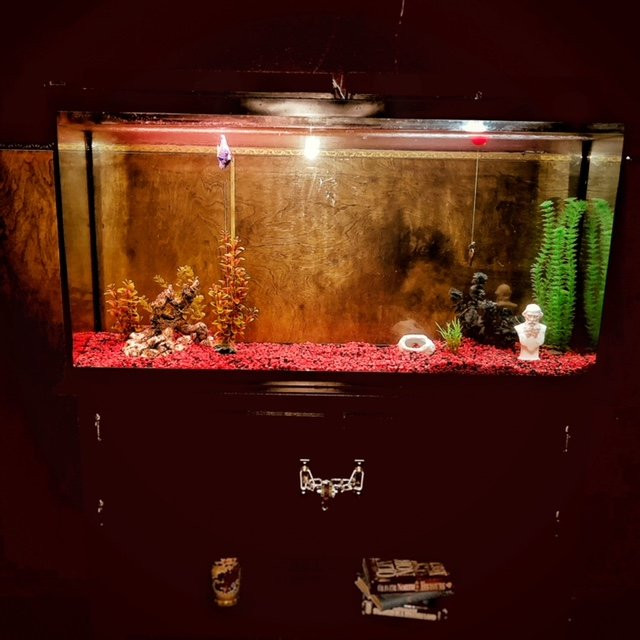 The Escape Key - Provo-普若佛必去景点