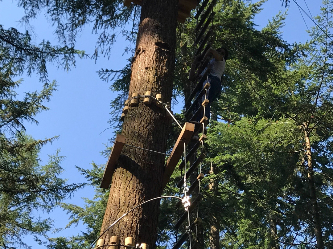 Klimbos Lage Vuursche-Lage-Vuursche必去景点