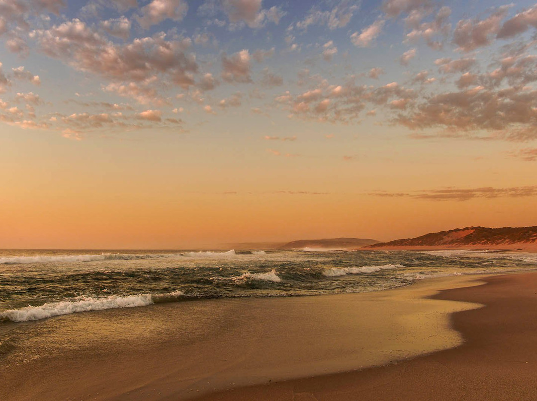 Outback Spirit-珀斯必去景点
