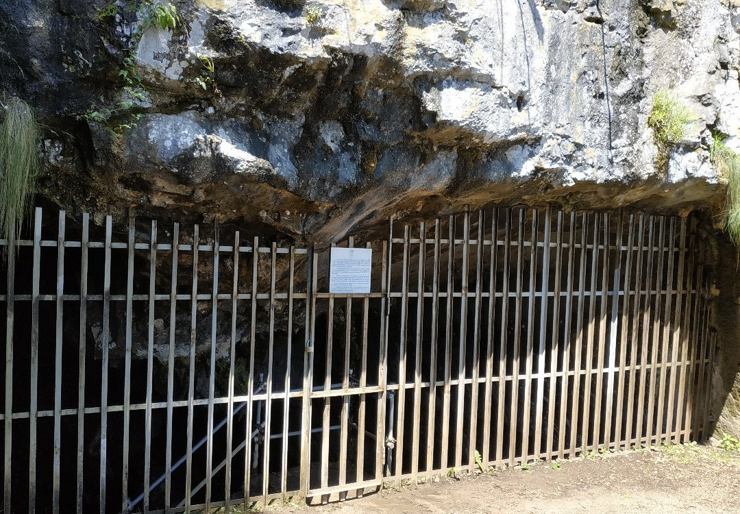 Cueva de El Pindal景点图片