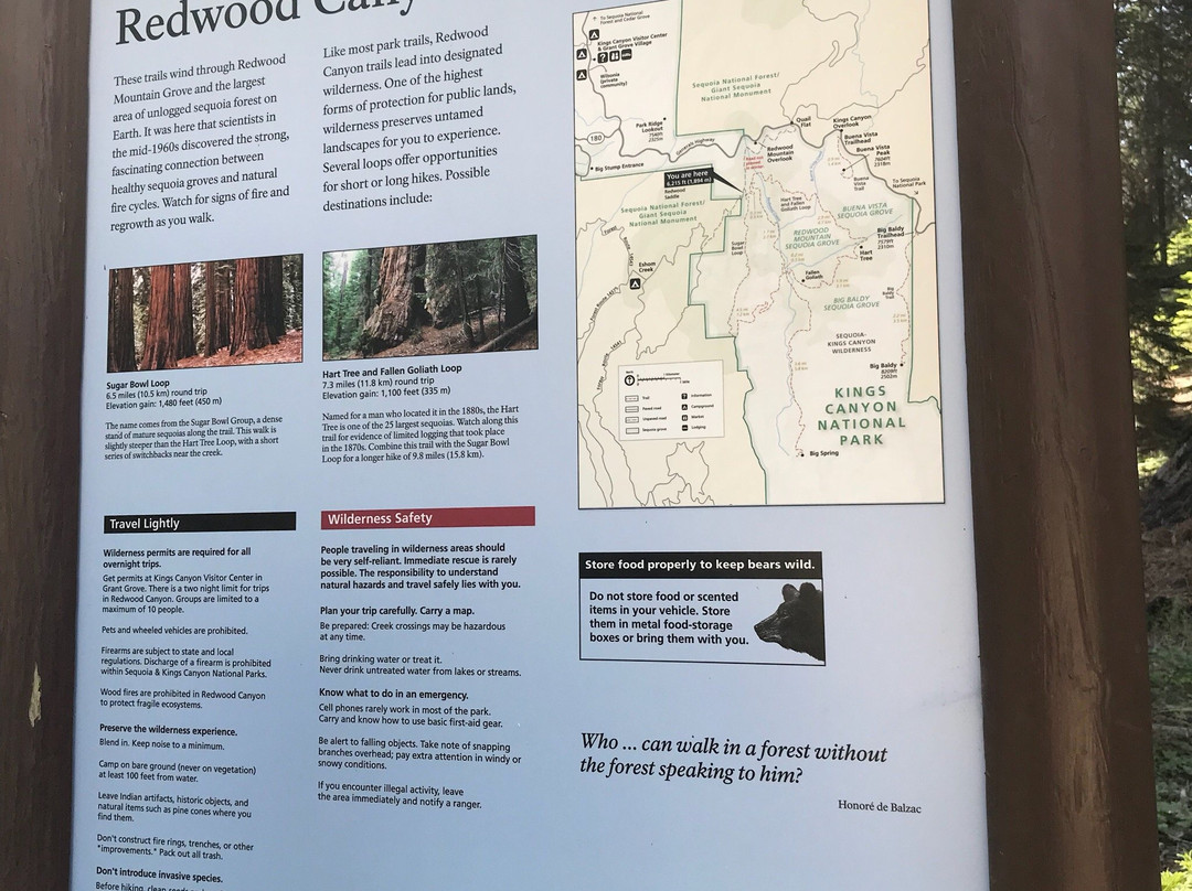 Redwood Canyon Trail-红杉&国王峡谷国家公园必去景点