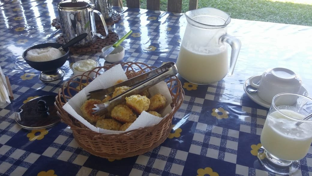 Araruna Farm-Soure必去景点