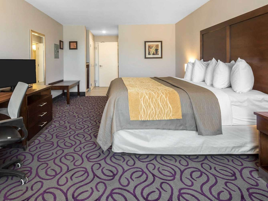 Comfort Inn & Suites Lovington主图