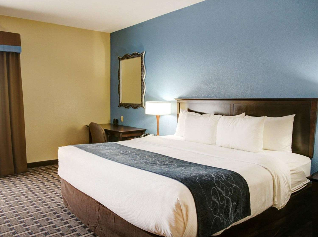 Comfort Suites主图