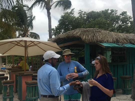 阿鲁巴岛万丽度假酒店及娱乐场主图