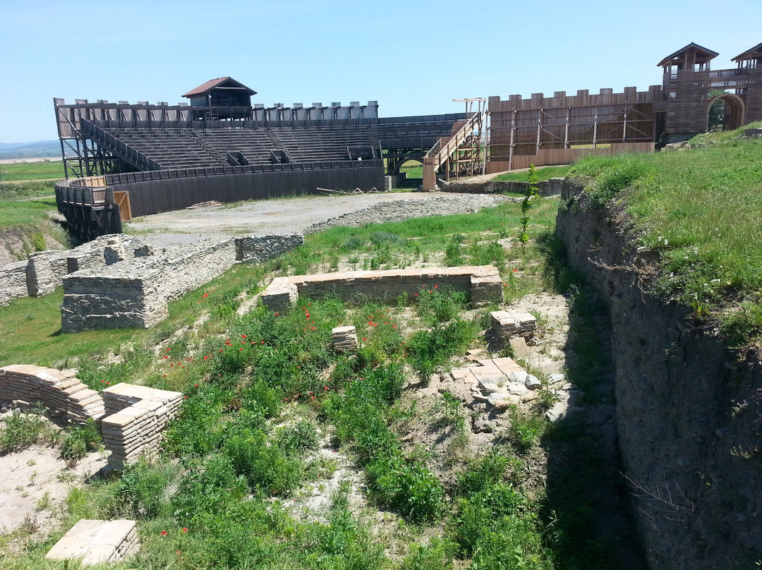 Viminacium Archaeological Park景点图片