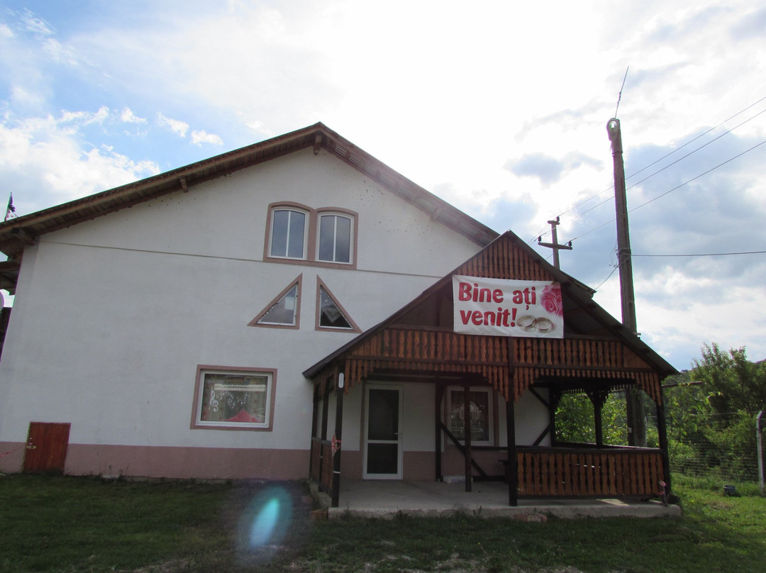 Tabara internationala Padurareni