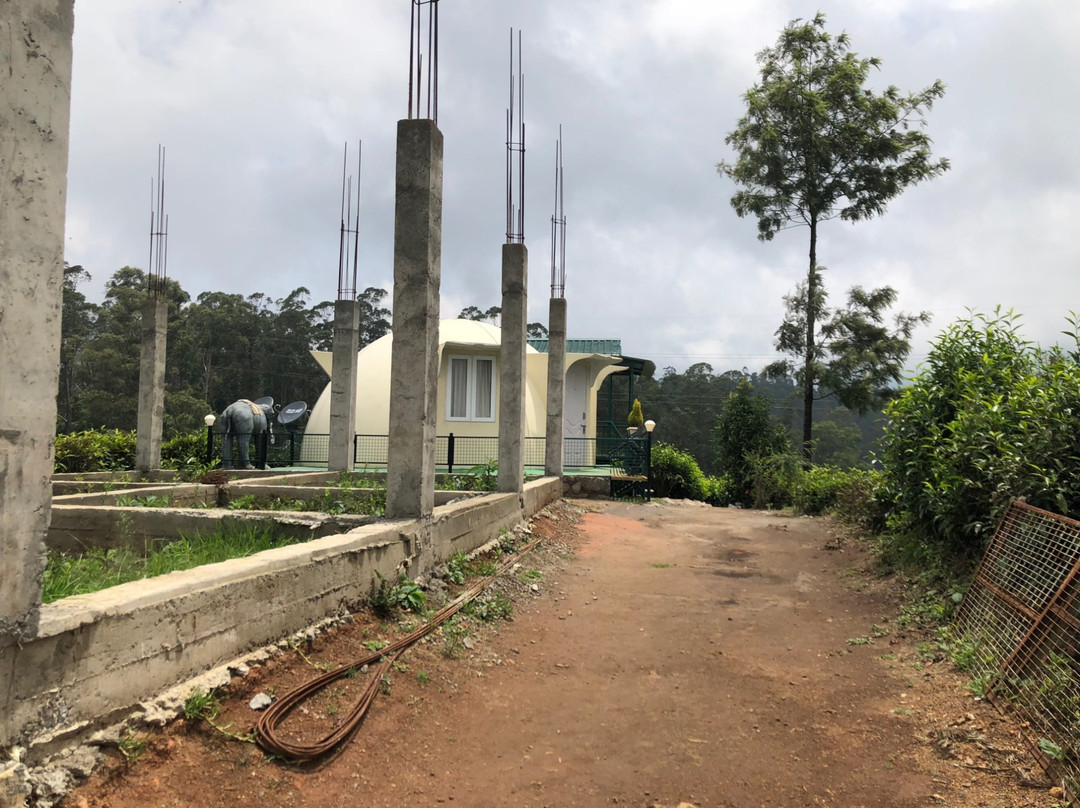 Kings Nook Avalanche主图