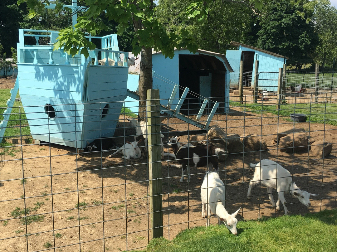 Catapano Dairy Farm景点图片