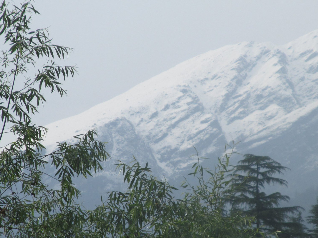 Rock Top Inn Jibhi主图