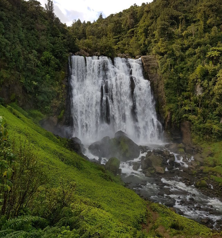 Waitomo Caves Tours & Transfers-怀托摩洞穴必去景点
