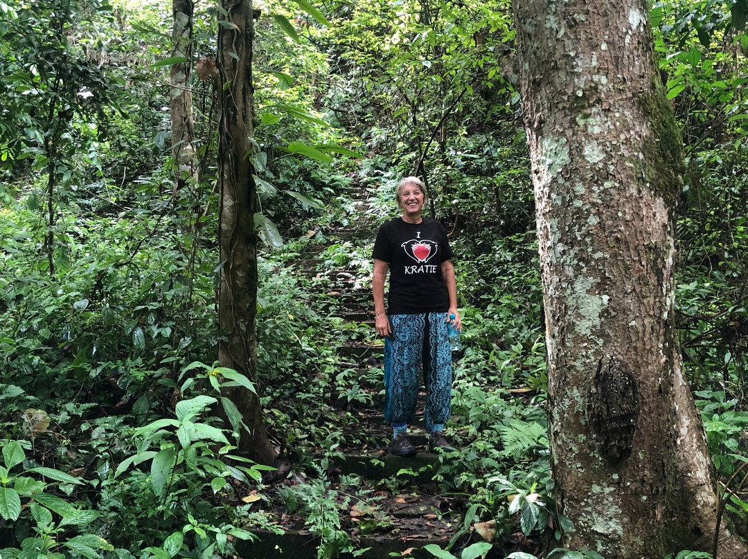 Tad Thong Waterfall-琅勃拉邦必去景点