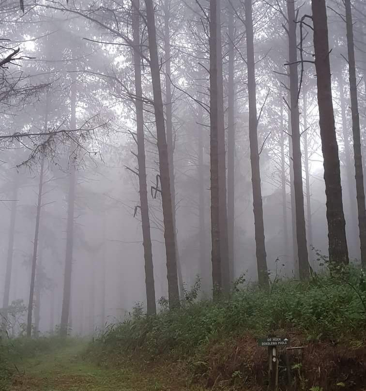 Magoebaskloof Hiking Trail-参宁必去景点