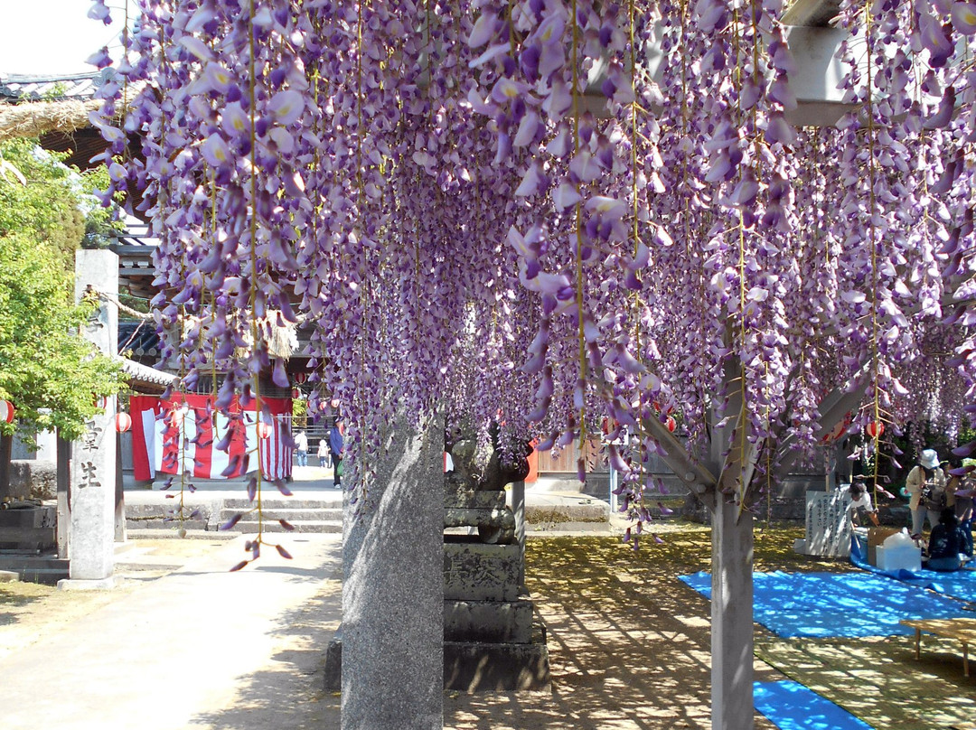 Nakayama Oto Festival景点图片