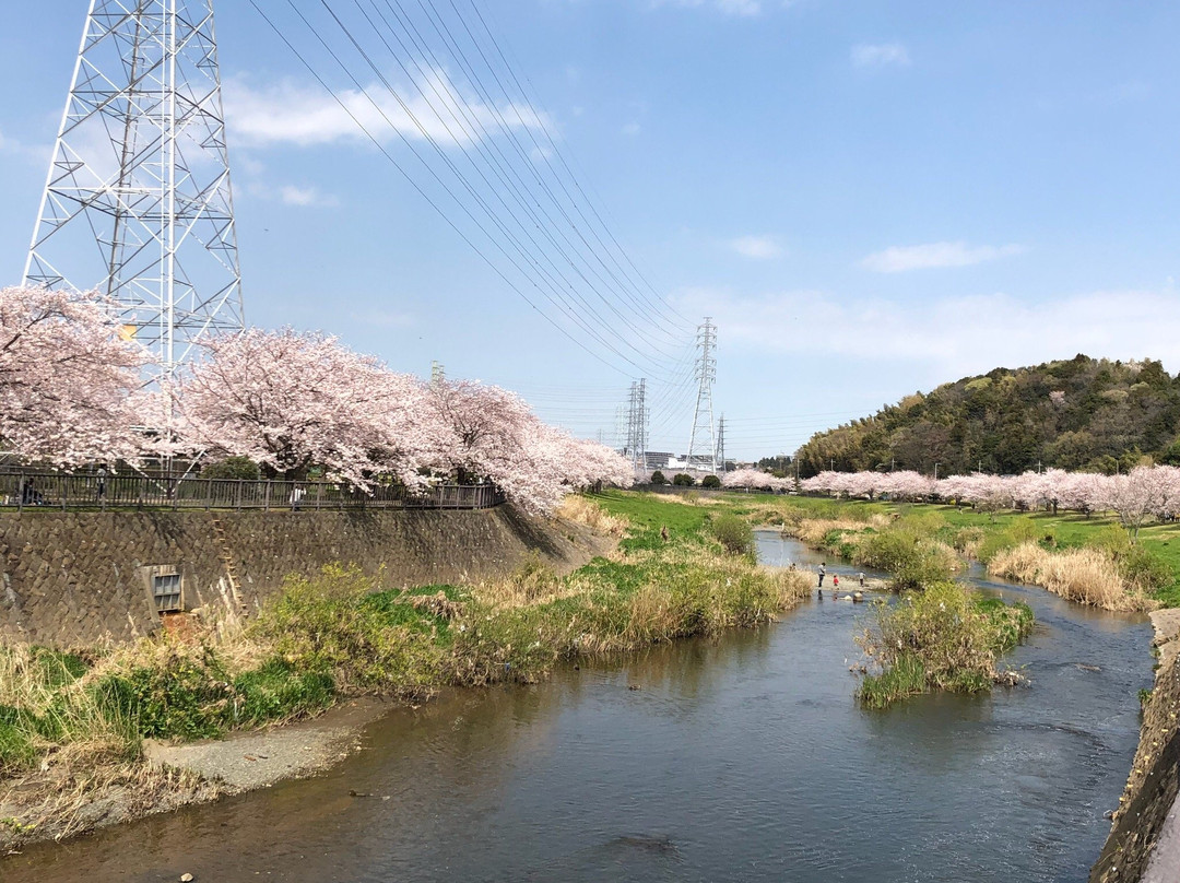 Hikichigawa Shinsui Park-藤泽市必去景点