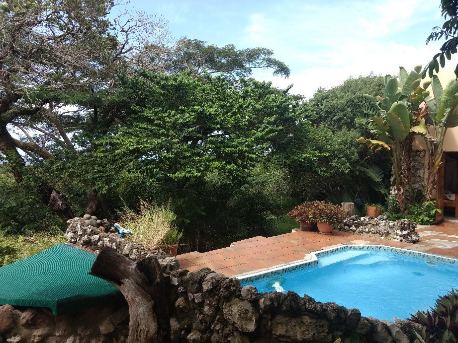 Kosi Moon Bed & Breakfast主图