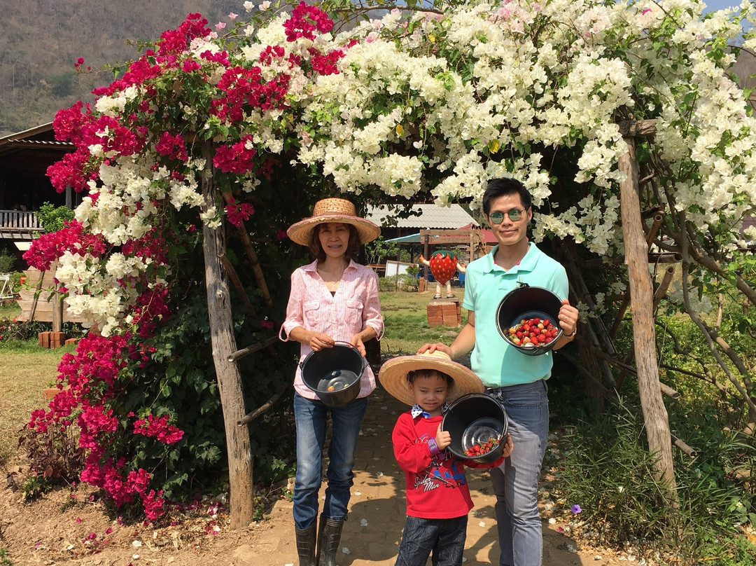 Wongwan Strawberry Farm-沙蒙必去景点