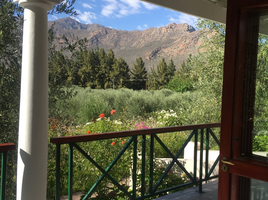 Montagu Vines Guesthouse主图