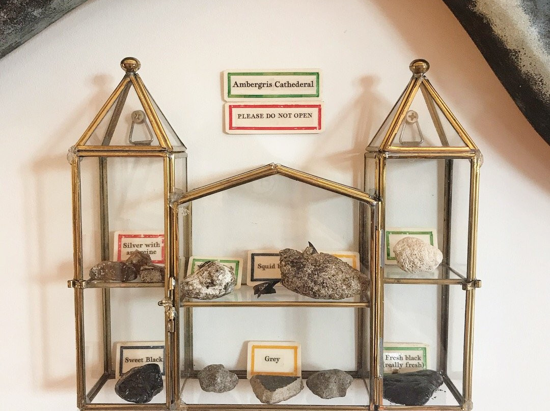 Aftel Archive of Curious Scents-伯克利必去景点