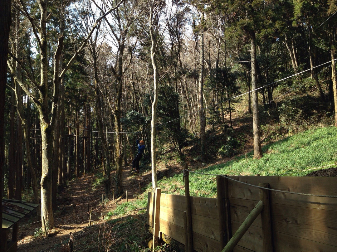 Forest Adventure Tarzania-长柄町必去景点