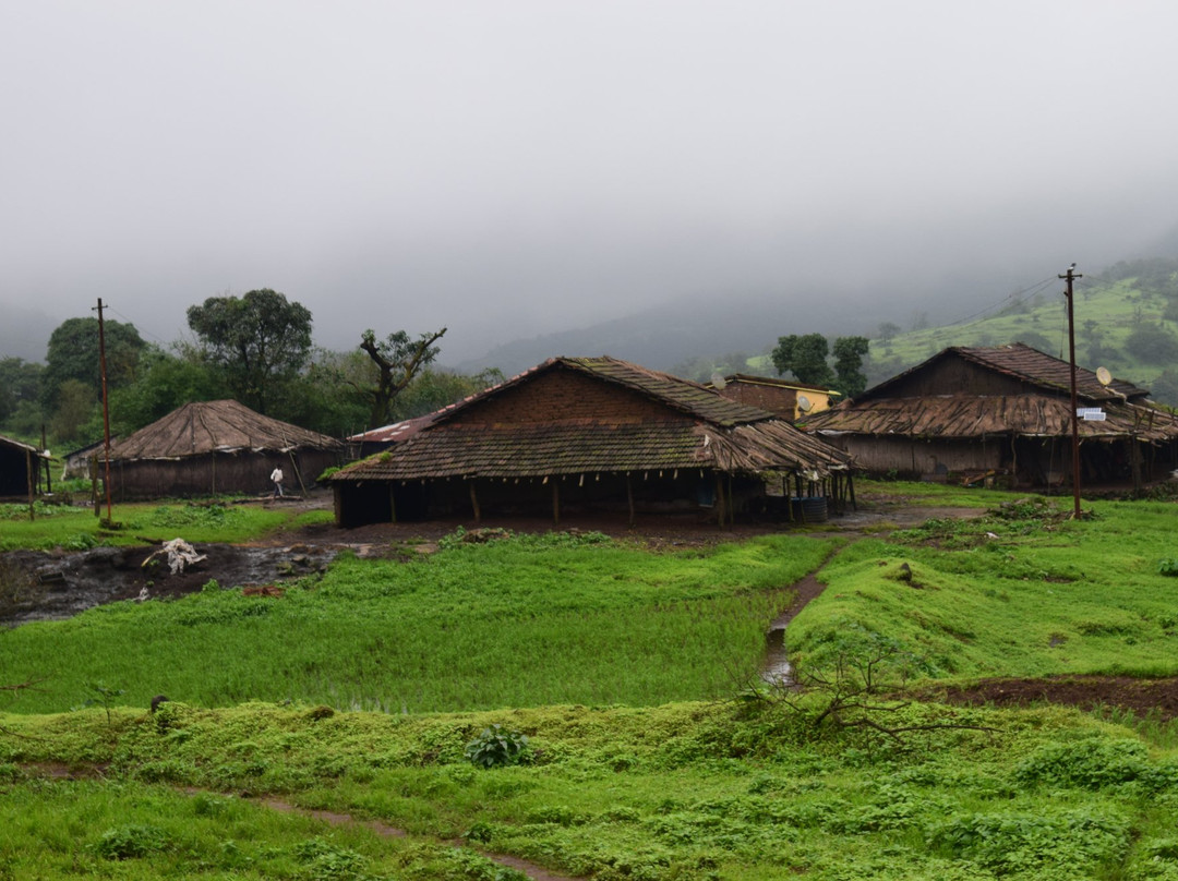 Bhimashankar Wildlife Sanctuary景点图片