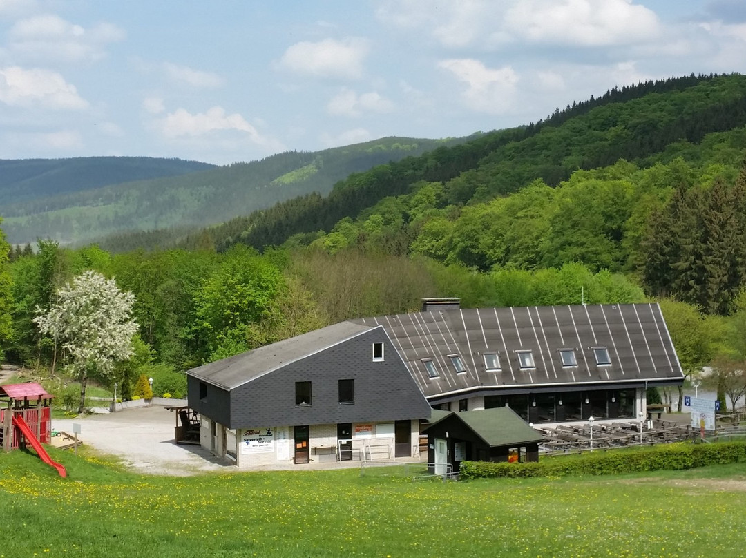 Rodelbahn am Erlebnisberg Sternrodt景点图片
