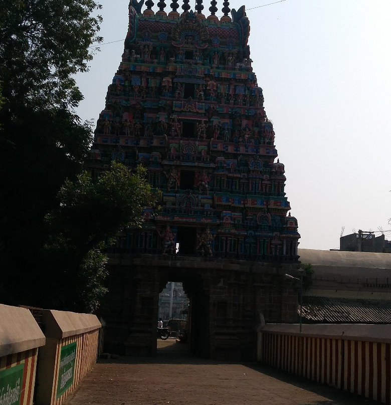 Sri Someswar Temple景点图片