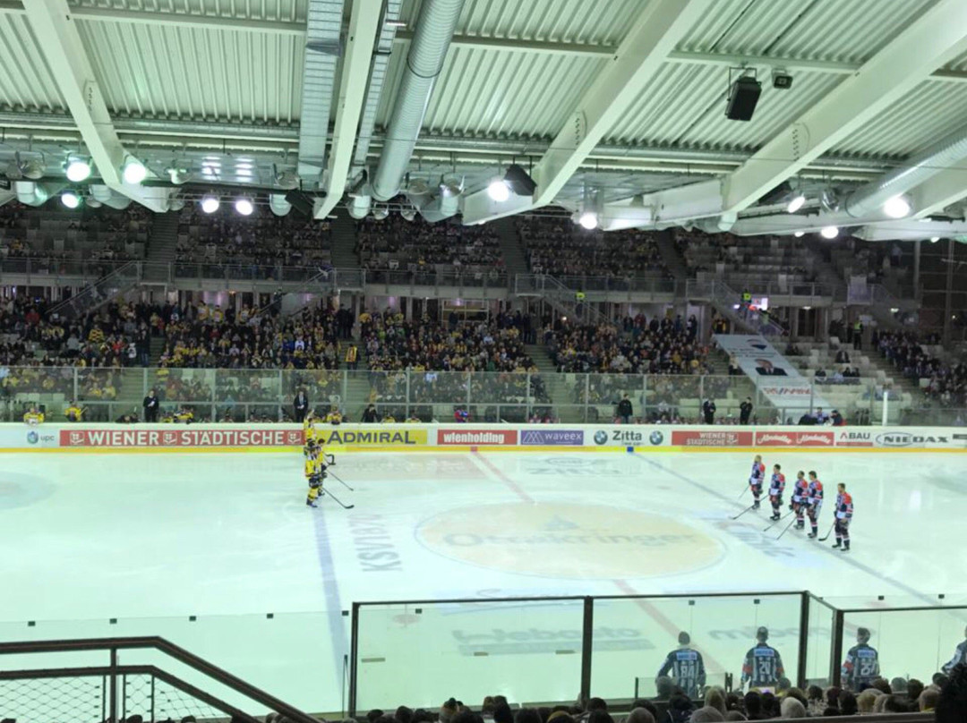 Albert Schultz Eishalle-维也纳必去景点