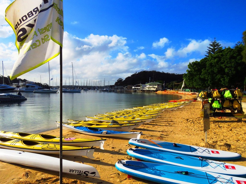 Sydney Harbour Kayaks-莫斯曼必去景点
