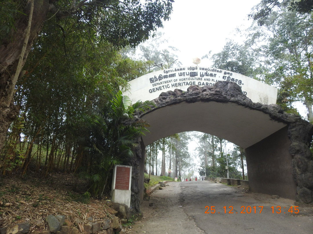 Genetic Heritage Garden-亚尔考德必去景点