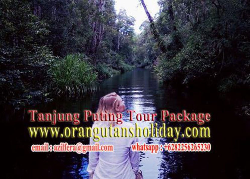 OrangutansHoliday-Pangkalan Bun必去景点