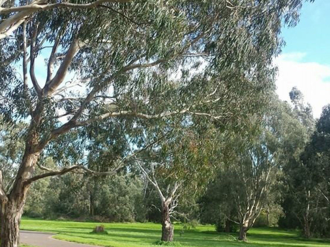 Birrarung Park景点图片