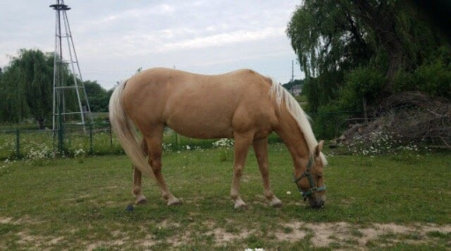 Hess-Hathaway Park-Waterford必去景点