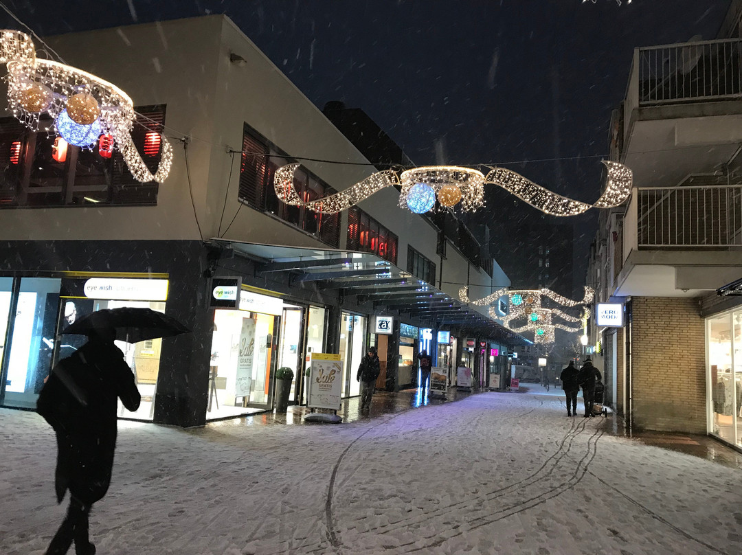 Stadshart Zoetermeer-Zoetermeer必去景点