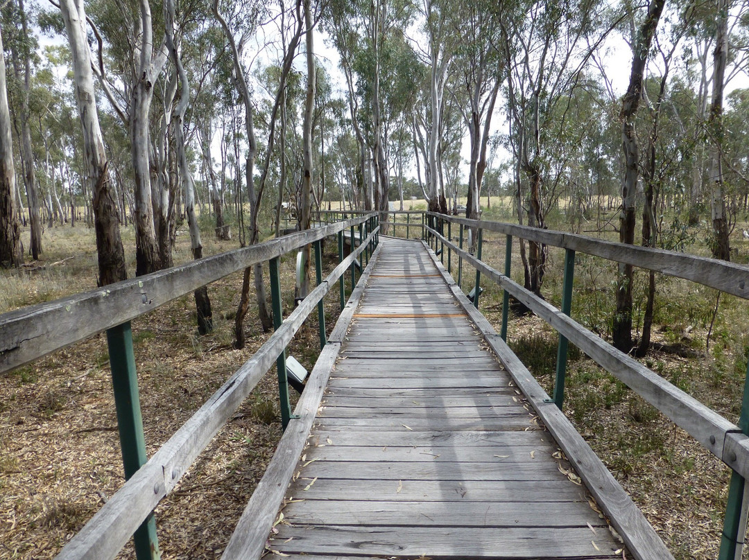 Picola旅游景点-Murray Valley National Park