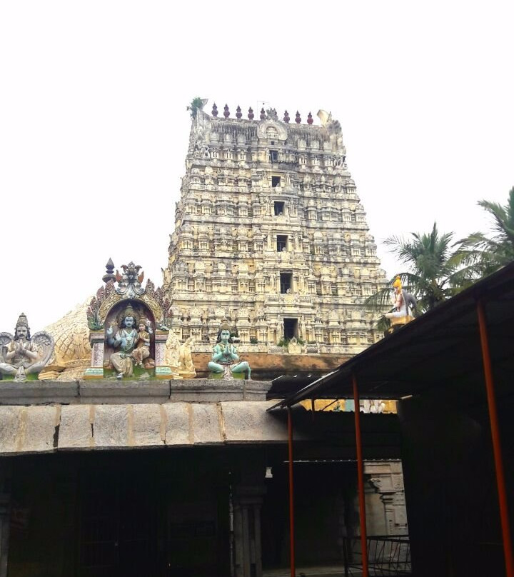 Ulagalantha Perumal Temple景点图片