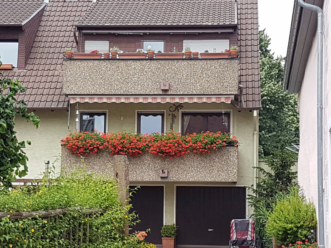 Stadtfuehrungen in Ladenburg景点图片