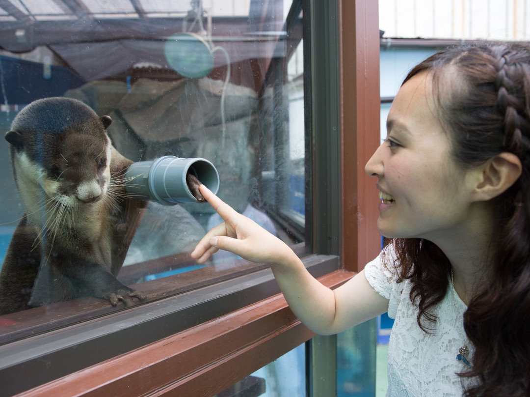 Ise Meotoiwa Interactive Aquarium (Ise Sea Paradise)-伊势市必去景点