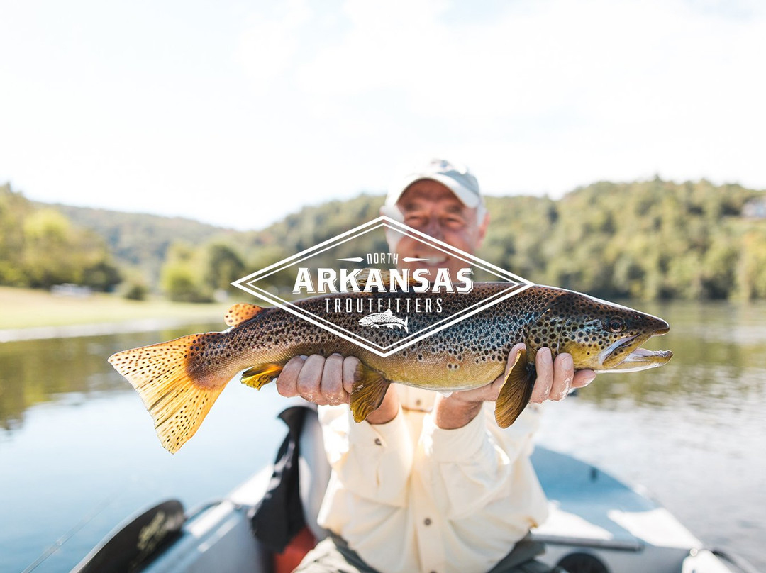 North Arkansas Troutfitters景点图片