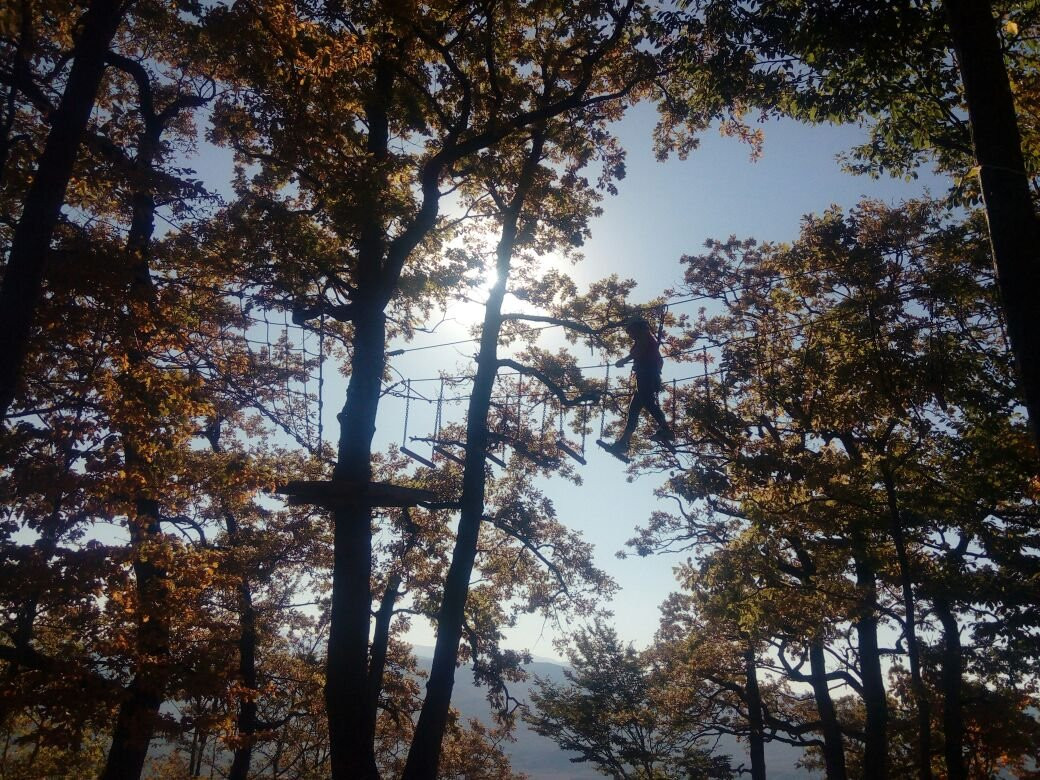 TETIS Rope Adventure Park景点图片