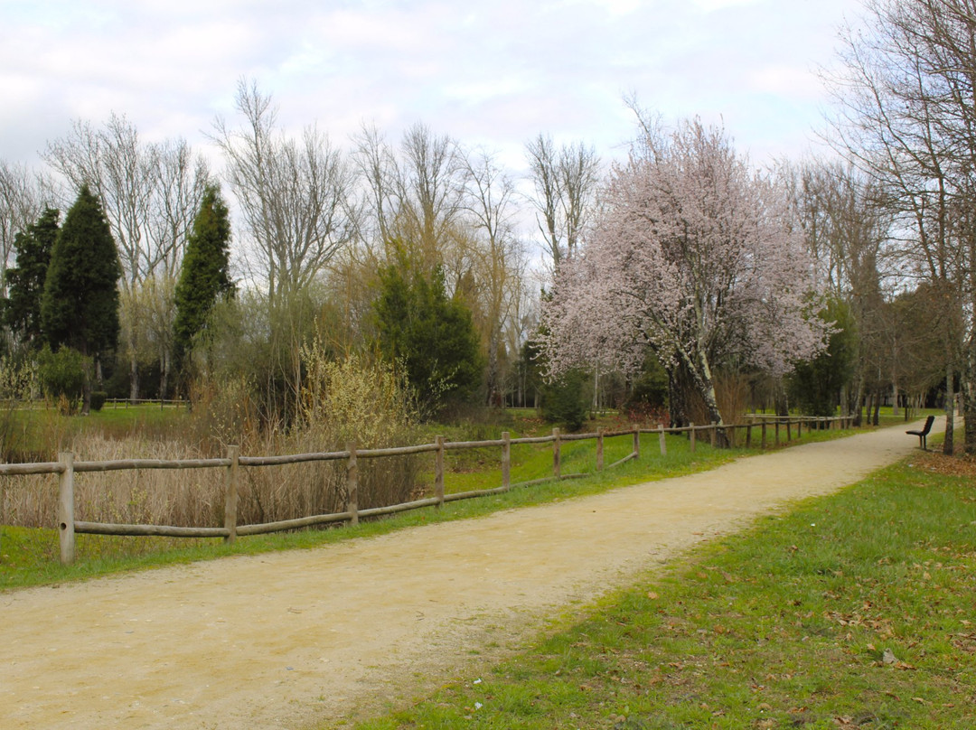 Parque Da Cidade景点图片