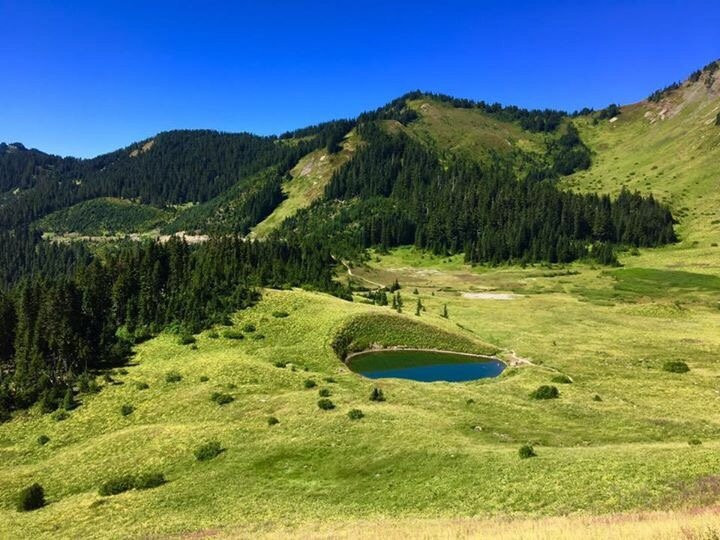 Mt. Waddington's Outdoors-奇利瓦克必去景点