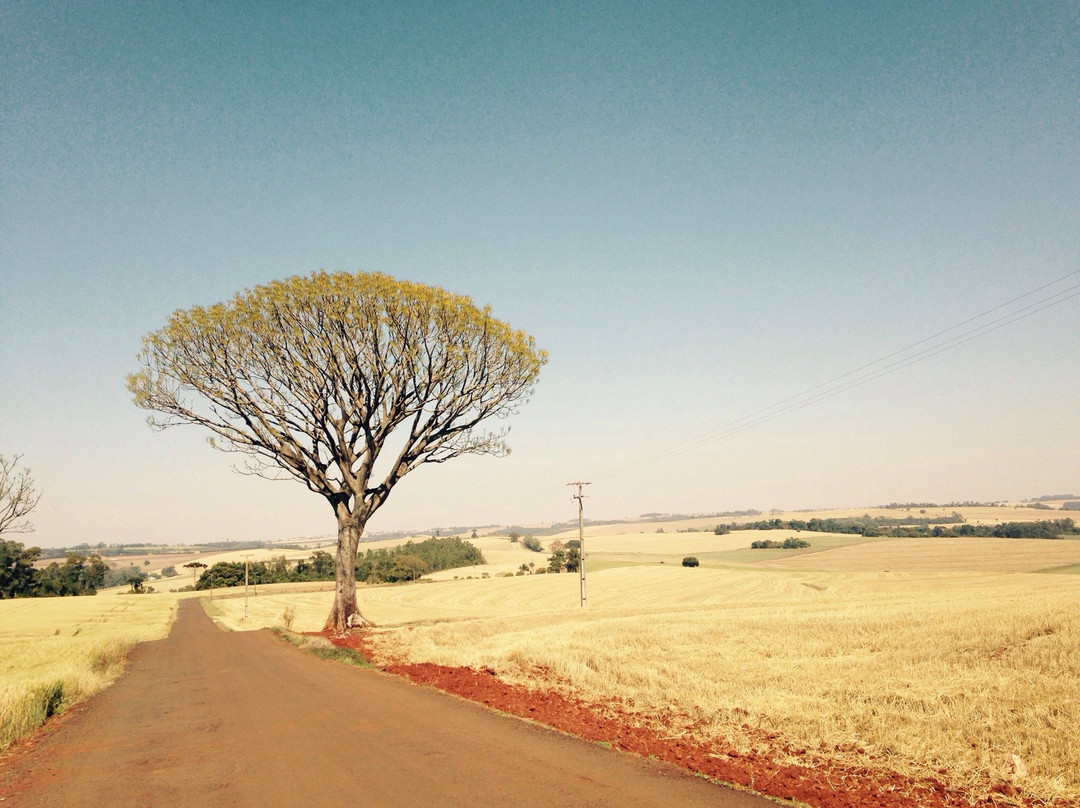 Capela São Rafael-Rolandia必去景点
